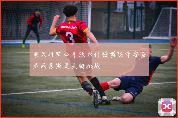 明天对阵公牛沃尔什强调防守安芬尼西蒙斯是关键挑战